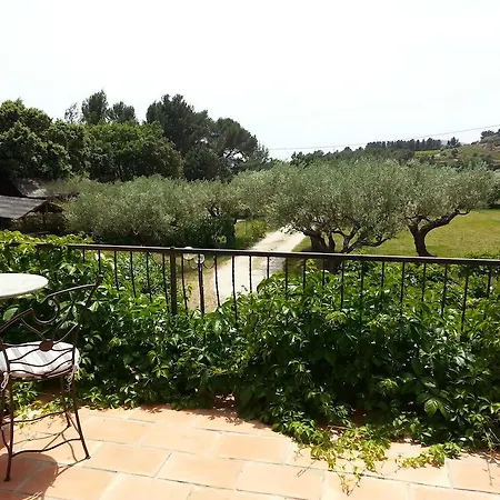 Des Oliviers Bed & Breakfast Puget-Ville